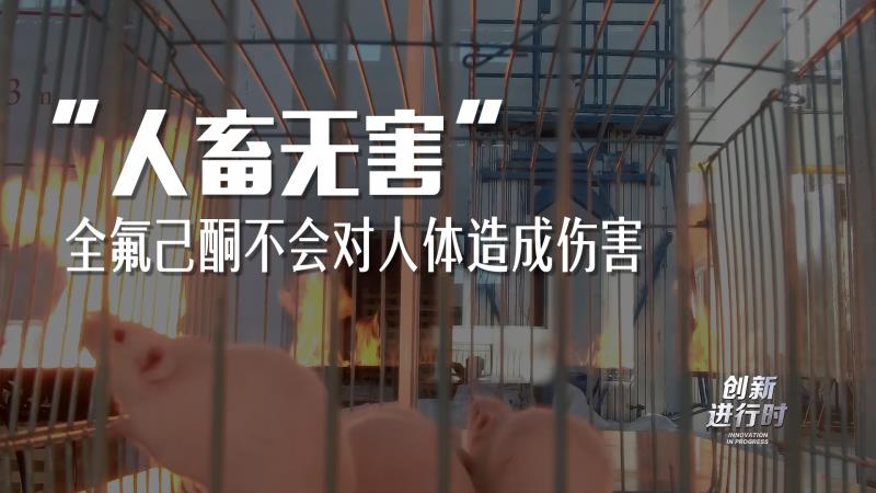 中央电视台《创新进行时》《院士说科技》两档栏目全方位的记录我国创新驱动发展、展示创新成果、弘扬创新精神，记录当代中国科技强国的奋斗历程。